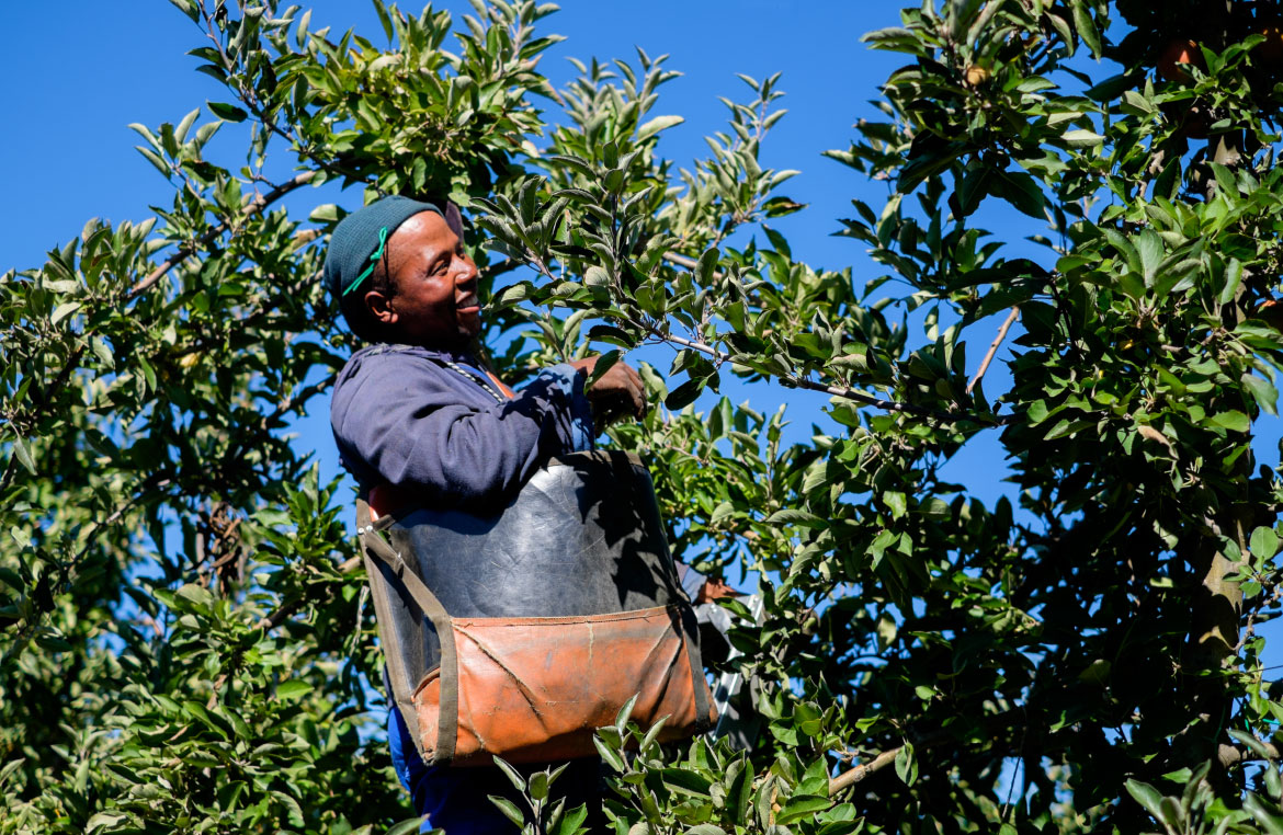 Doornkraal Community